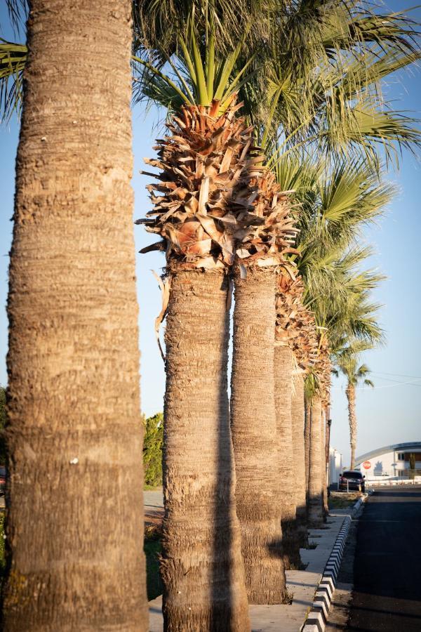 Limassol Akrotiri Beach Vine Cottage A Buitenkant foto