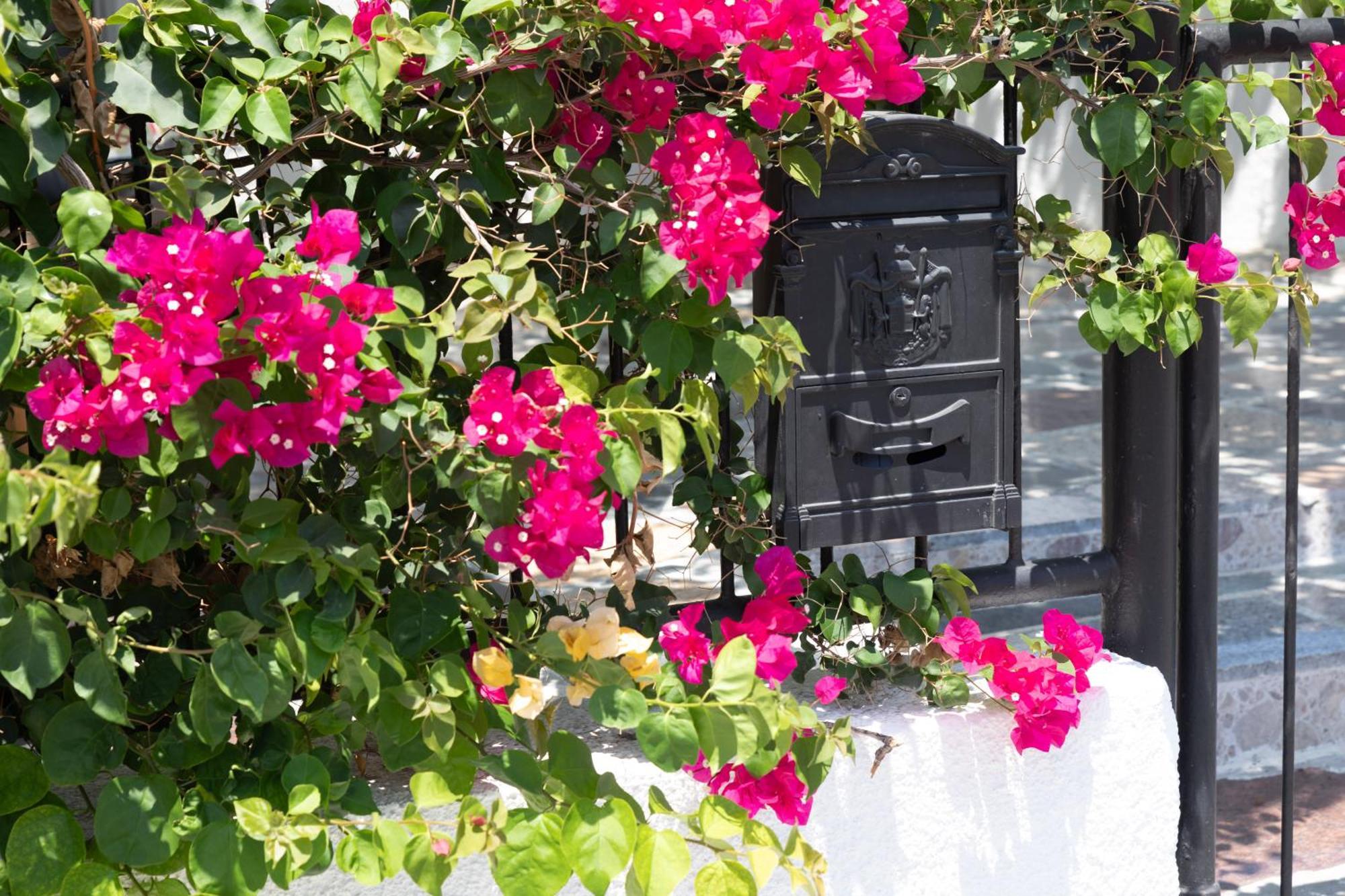 Limassol Akrotiri Beach Vine Cottage A Buitenkant foto